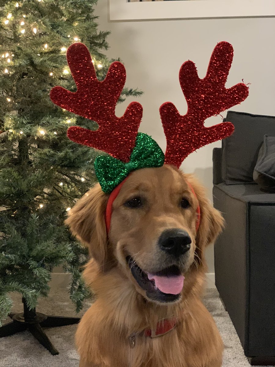 Happy Birthday to my pup! #ruby #oneyear #birthday 
.
<a href="/KelseyMcEwen/">Kelsey McEwen</a> <a href="/YourMorning/">CTV Your Morning</a>