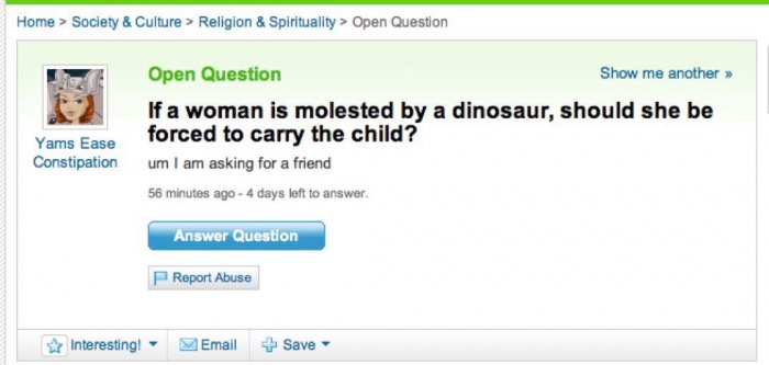 selenakitt's tweet image. #plotbunny ? :o