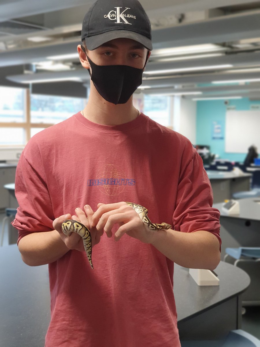SomStudioSchool's tweet photo. Our new additions to the Reptile club, Gavin and Stacey! https://t.co/Zbfh4Sg9u8