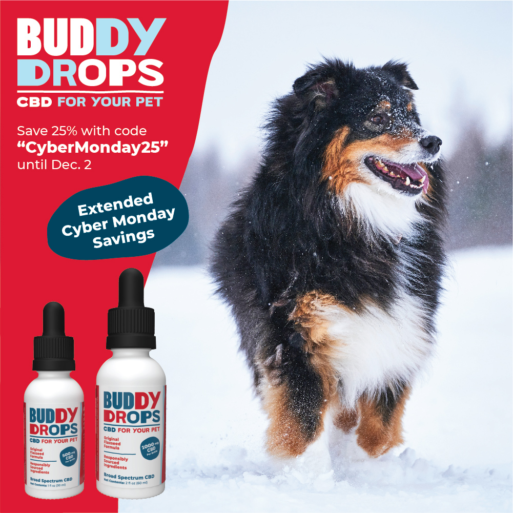 BuddyDrops's tweet photo. Cyber Monday came early! Save 25% with code 𝗖𝘆𝗯𝗲𝗿𝗠𝗼𝗻𝗱𝗮𝘆𝟮𝟱 until Dec. 2.

Celebrate the holidays and ring in the new year with a happy buddy by your side.

#dogcbd #petcbd #cbd #CyberMonday 

🐶https://t.co/T4A9crW6GB https://t.co/siXZMuiYct