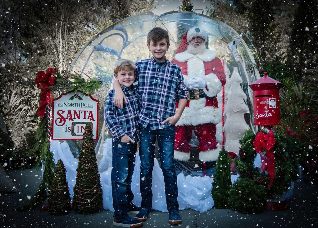 MaisonWarehouse's tweet photo. Sign Up No for Santa Pictures https://t.co/84WFX303Ee https://t.co/WoJylXHwOM