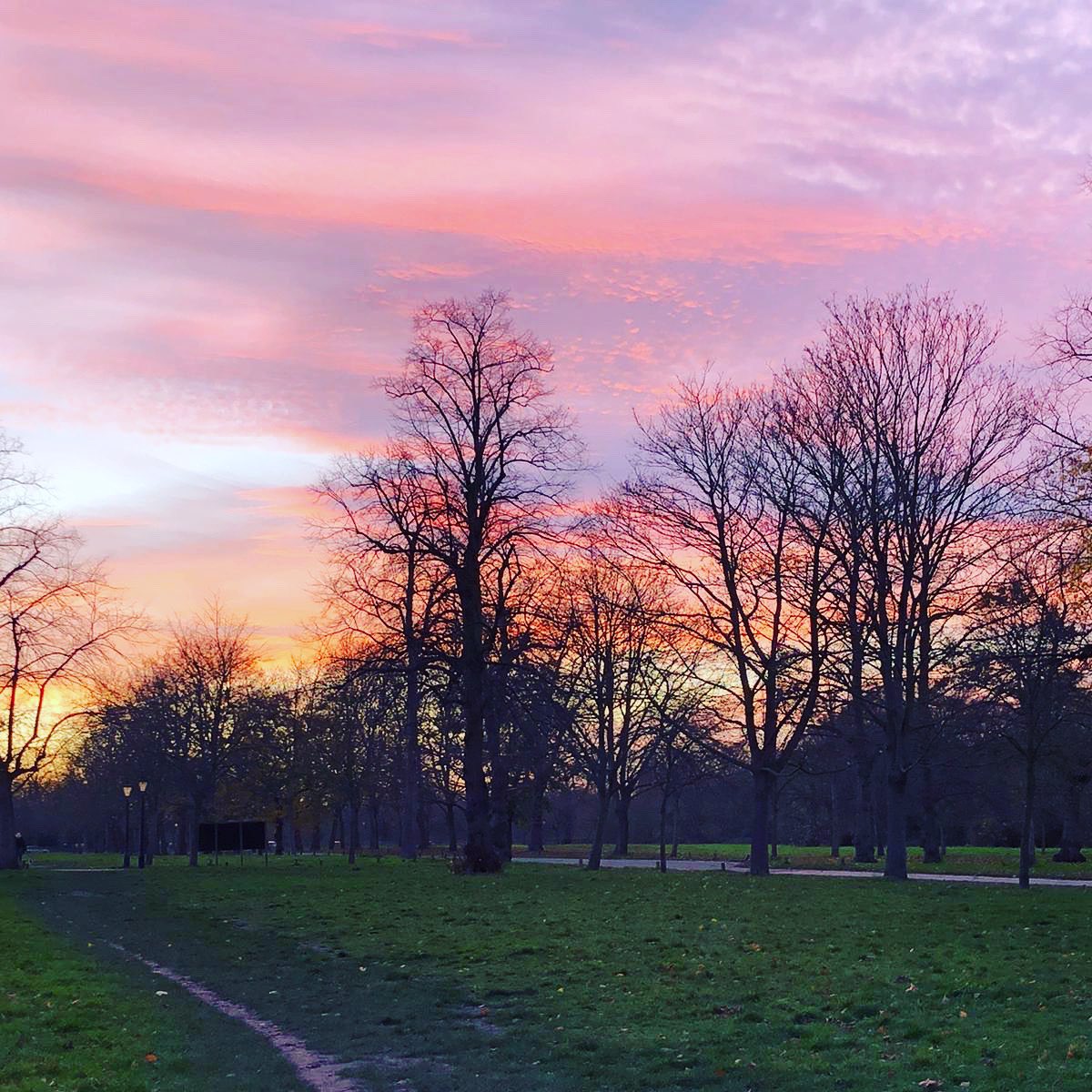 AshridgeTrees's tweet photo. Hello winter sunsets #baretrees #snowsoon #winter https://t.co/cWzFnkIOUp