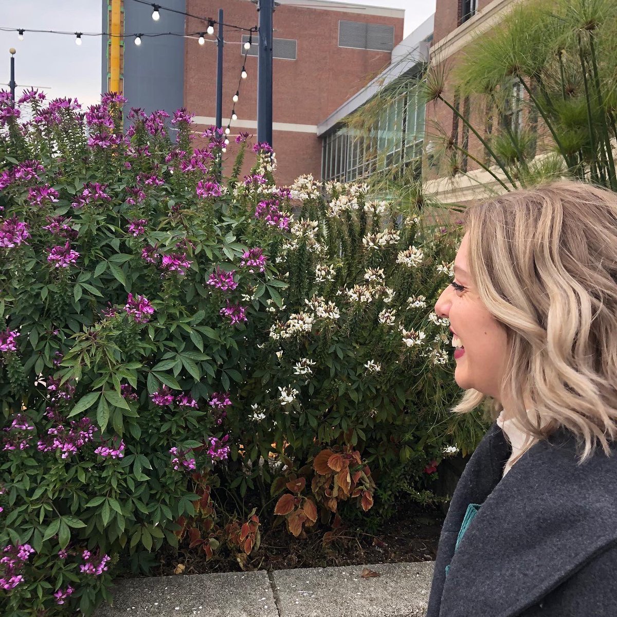 cailee_l's tweet photo. @mooninfirst My nose in side profile was always my least favorite feature. I still wish I could fix it, but seeing everyone celebrate noses that look like mine helps! They all look gorgeous 😍 https://t.co/YWuaDcDWRk