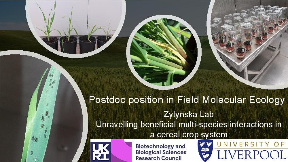 I'm looking for a postdoc to work on rhizobacteria mediated pest resistance in barley. @LivUni_IVES @BBSRC 
Deadline 18th Jan 2021. my.corehr.com/pls/ulivrecrui… 

Pls RT: @bes_aeg @BES_Microbial @BES_EGG  @CamoCost