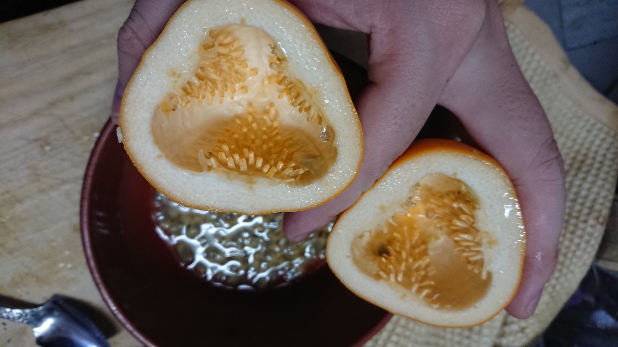 外道 そとの道 Exdark Law すごい 水レモンは周りはスポンジ メインの種周りの果実がパッションフルーツとは確かに違う 昔食べたロッテマンゴスチンガムの味がする アテモヤはバナナっぽさとパインの爽やか後味繊維ににて確かに凍ら
