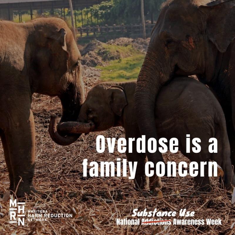 Manitoba Harm Reduction Network tweet media
