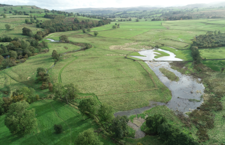 Dynamic_Rivers's tweet photo. FLOODING CAN HELP FIGHT GLOBAL WARMING

Please read and share the physical evidence and research statistics in this article highlighting how floodplain wetlands sequester CO2, moderate downstream flooding and enhance biodiversity. 

WIN-WIN-WIN!

https://t.co/YPUglAGiby https://t.co/29MUGWU9qp