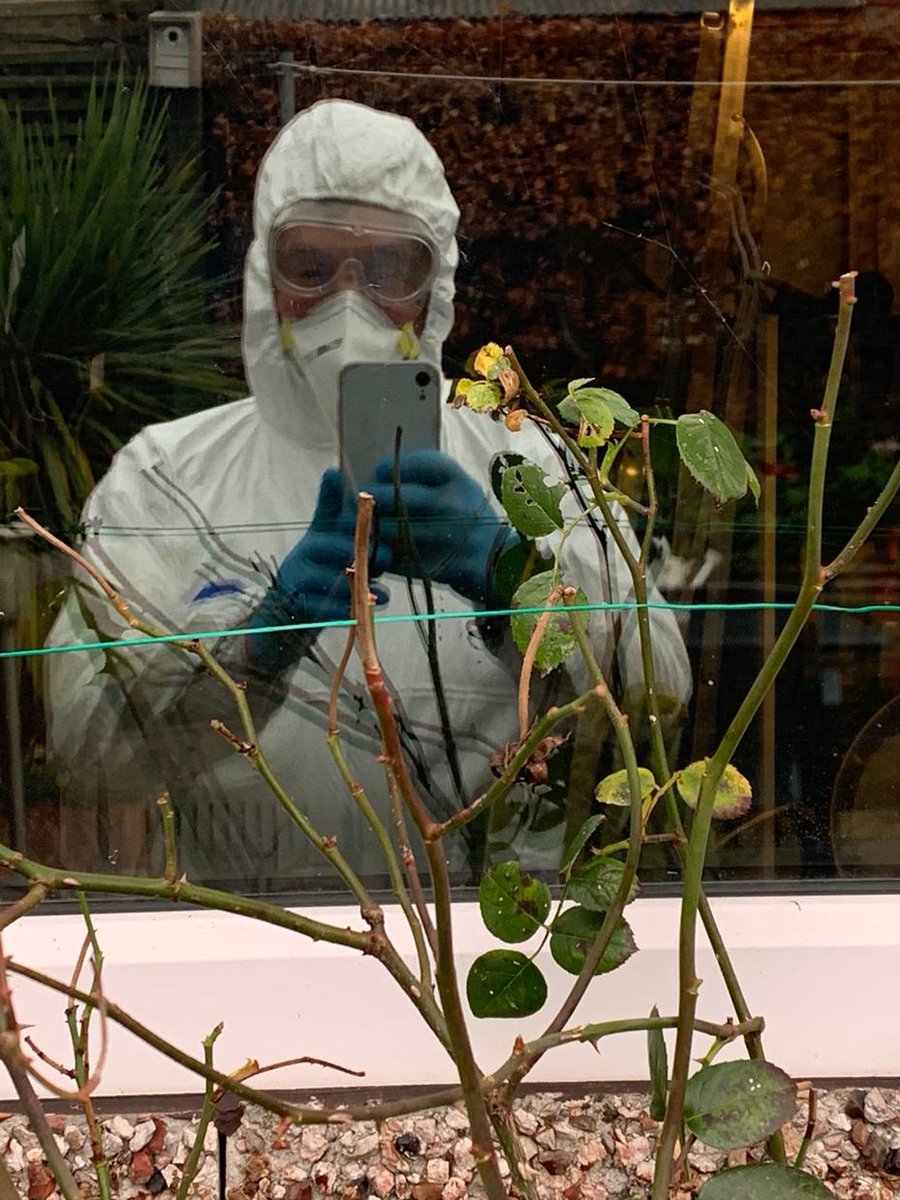 Doesn't our fitter Tony look great today.