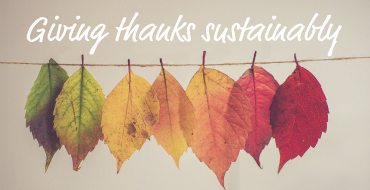 Happy Thanksgiving from the GreenFutures team!🍁🍂Stay safe😷😷😷 #GreenPHLschools #Thanksgiving2020 #Sustainability   phila.gov/programs/coron…