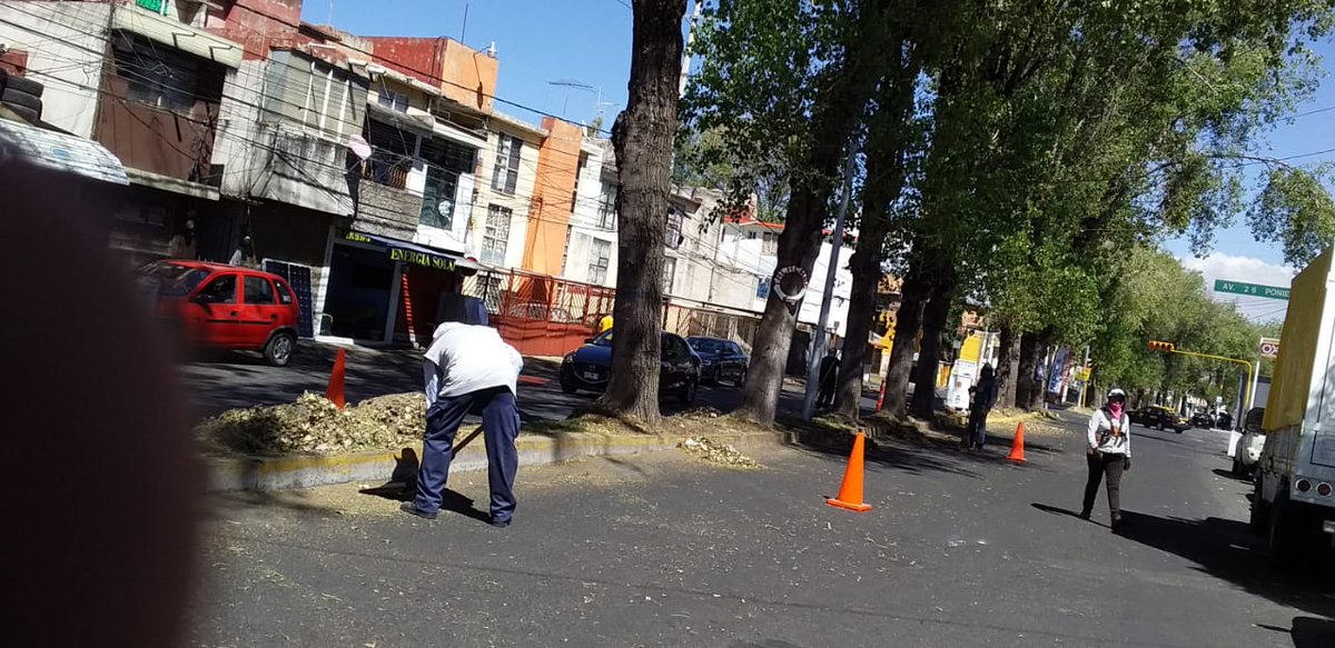 CMaestroFederal's tweet photo. Agradecemos a @PueblaAyto, @RiveraVivanco_ y a @InfraPue departamento Áreas Verdes Parques y Jardines por el chapeo y limpieza de camellón en Gran Avenida. https://t.co/DcaxZN9N8G