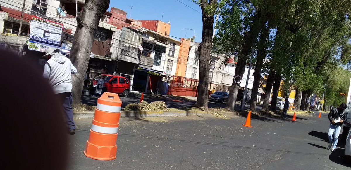 CMaestroFederal's tweet photo. Agradecemos a @PueblaAyto, @RiveraVivanco_ y a @InfraPue departamento Áreas Verdes Parques y Jardines por el chapeo y limpieza de camellón en Gran Avenida. https://t.co/DcaxZN9N8G