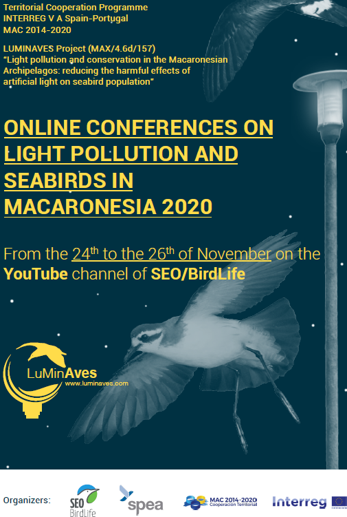 Yarci_SEO's tweet photo. 30 min to start❗️ Second day of our ONLINE CONFERENCES ON LIGHT POLLUTION AND SEABIRDS IN MACARONESIA 2020
https://t.co/ACbu9VkHxk
Today:
Dr. Svenja Tidau @SvenjaTidau from @PlymUni
Dr. Travis Longcore @travislongcore from @UCLA
Dr. Airam Rodríguez @Airam_Rguez from #GOHNIC https://t.co/18cyHPTwBh