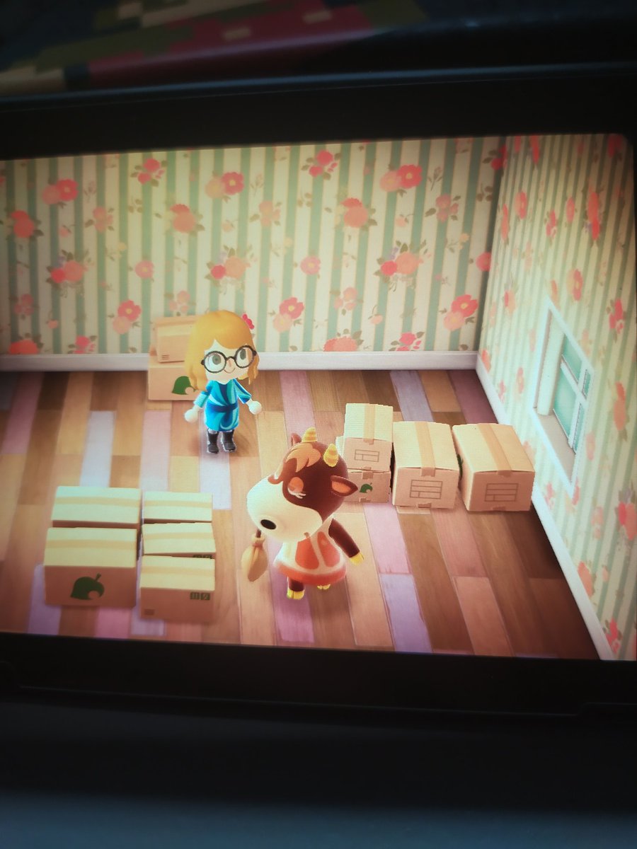 Vacarena / Patty is in boxes.  DM iff you want her. Looking for nmt.
#AnimalCrossingNewHorizons #acnhvillagerinboxes #ACNH #acnhvillagertrade 
<a href="/nookticias/">Noticias Nook</a> <a href="/NooksAdoption/">Nook’s Adoption Agency</a>