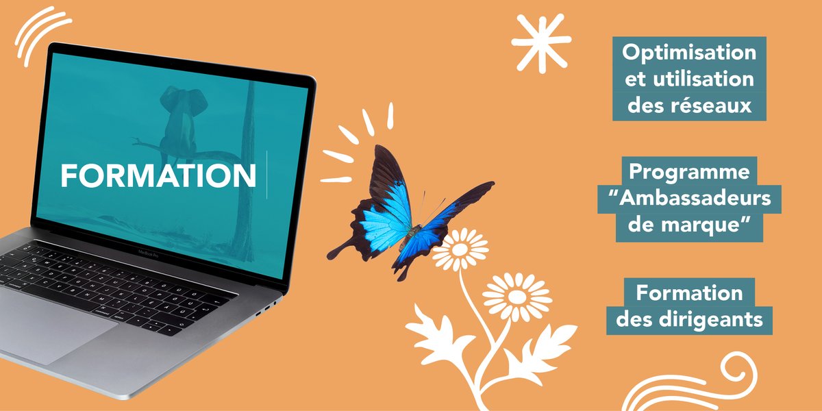 Métier n°5️⃣ : Formation : Nous vous aidons à faire progresser votre organisation ainsi que vos collaborateurs vis à vis des réseaux sociaux ! 🔽