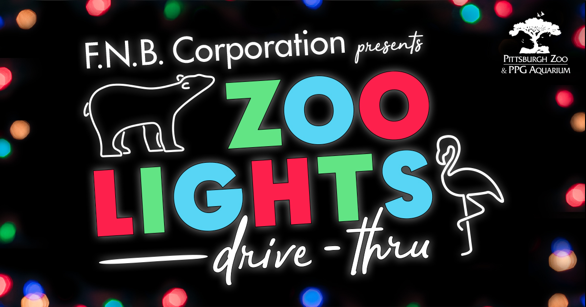karynlocke's tweet photo. #Pittsburgh  Friends – This is a must-do this holiday season in the ‘Burgh … Zoo Lights Drive-Thru at @PghZoo!

Tickets must be purchased in advance, so get yours ASAP - https://t.co/fqxCE7z5PR #ZooForAll #PghDriveThruZoo #ad https://t.co/xXmr4CNhQs