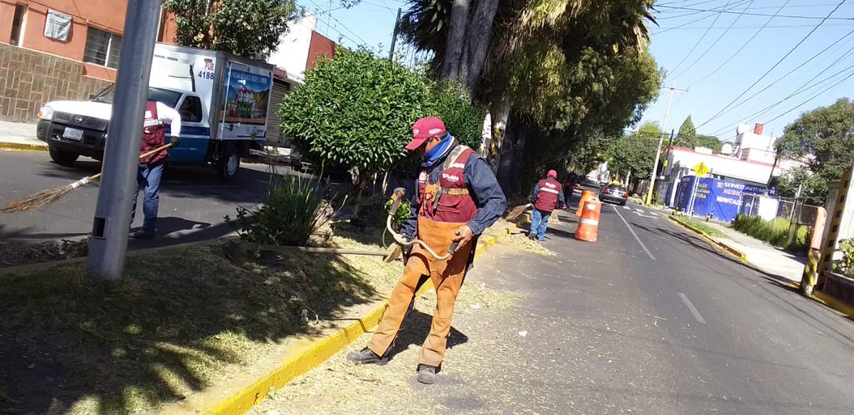 CMaestroFederal's tweet photo. Nuevamente la Col. @CMaestroFederal agradece a @PueblaAyto, @RiveraVivanco_ y a @InfraPue departamento Áreas Verdes Parques y Jardines por la gestión realizada de chapeo y limpieza en camellón de Av. 15 de Mayo. https://t.co/EEtqfZr97a