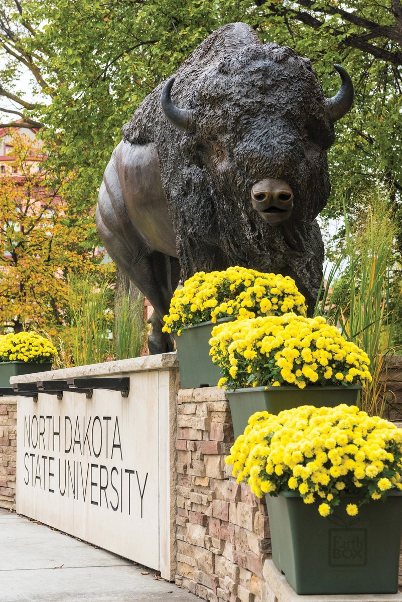 Students, come to the Memorial Union today at 2 p.m. and pick up a free NDSU Bison Statue puzzle for the long holiday weekend. 🧩🤘

Puzzles will be located near the coffee shop.

#ExperienceNDSU