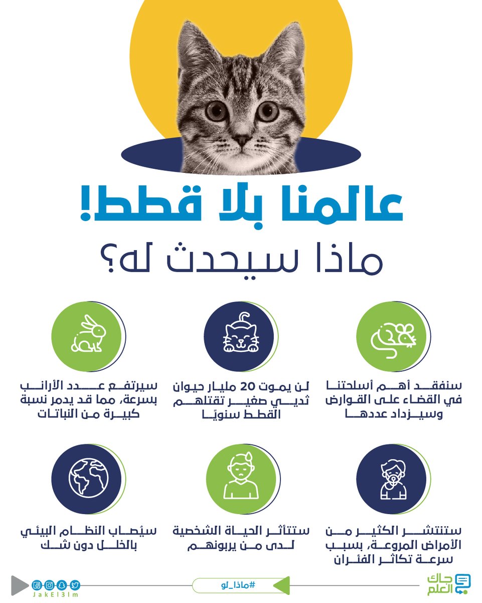 تعد القطط من الحيوانات الأليفة التي يعشق تربيتها الكثيرون، فهل فكرتم يومًا ماذا سيحدث إذا اختفت من حولنا؟
#جاك_العلم #ماذا_لو https://t.co/N67wyi4YpK