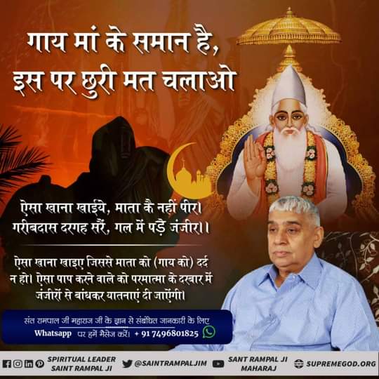 #Allah_Prohibits_EatingMeat
रब की रूह का कत्ल न करो
कबीर परमात्मा ने कहा है कि अच्छा शाकाहार करो। बासमती चावल पकाओ। उसमें घी तथा खांड (मीठा) डालकर खाओ और भक्ति करो। (कूड़े काम) बुरे (पाप) कर्म त्याग दो। मिट्टी मांस न पकाऐ