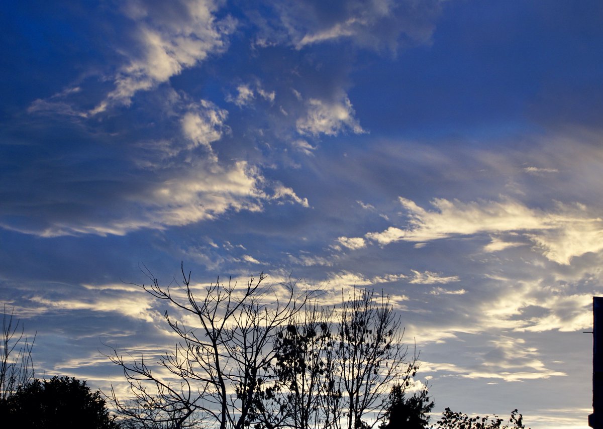 douglas bee tweet media