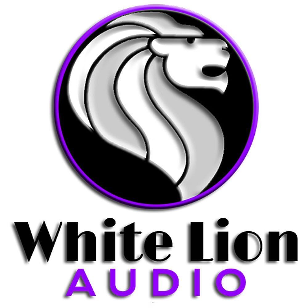 BlastFi's tweet photo. We Do It All, (12) Fully Licensed Radio Stations, Three Record Label co-own @whitelionaudio, (2) Affiliates, #ArtilleryMusicGroup, #IndieonAirRecords, #Executive #Producer/ #Riseuptv, has 50 #Musicours scheduled for 2021, for more info  #RiseUpTV. 46 Million Subscribers on #Roku. https://t.co/jm9pbb70VN