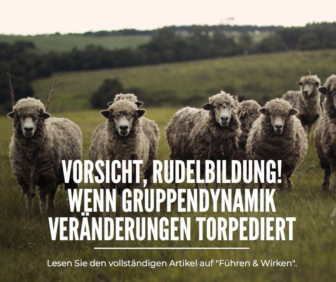 Emotionen im Umbruch zu ignorieren, provoziert Rudelbildung. Wenn Sie in das Thema #Veränderungskompetenz einlesen möchten, legen wir Ihnen diesen Blogbeitrag ans Herz. 

Viel Vergnügen bei der Lektüre: fuehren-und-wirken.de/gruppendynamik…