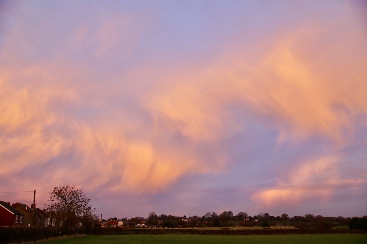 douglas bee tweet media