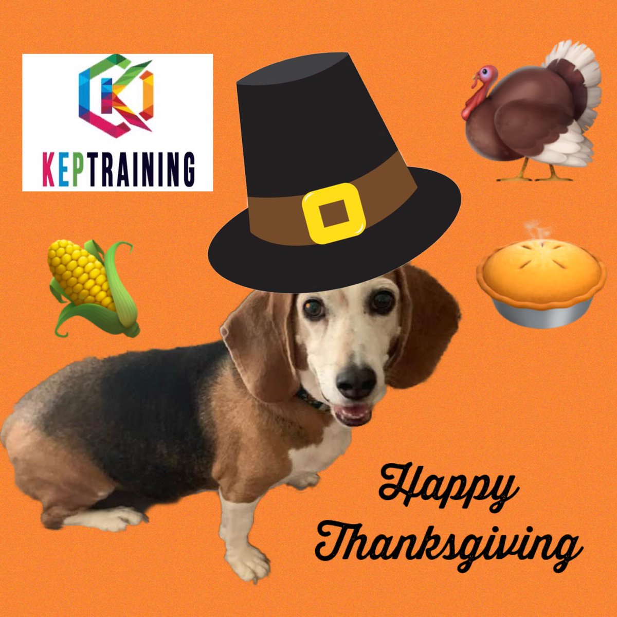 KEPTraining's tweet photo. Cyber and all of us at KEP Training want to wish you a safe, healthy and happy Thanksgiving!! #keptraining #kepcyber #grateful @AnnaKepshire https://t.co/dnicHqsaMC