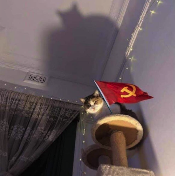 death_is_invtbl's tweet photo. придумайте подпись! https://t.co/fdVUFTtI3F