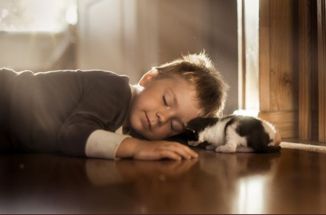 sevsek yeter. şükretsek kâfî, insan olsak tamamdır.