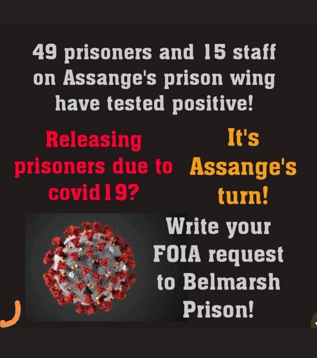 SWildman8's tweet photo. #FreeAssange #Freedom #justice #wikileaks #humanrights #freepress #BenghaziBombshell #FreeAssangeNow #gloria4assange https://t.co/67ZbFAsoKg