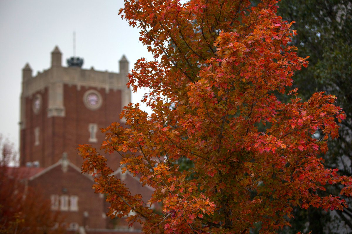 University of Oklahoma tweet media