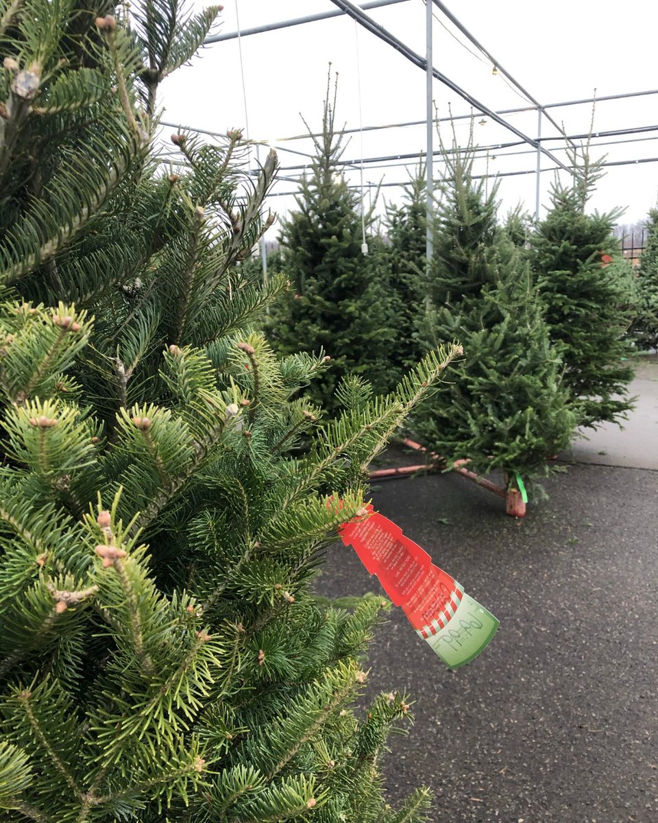 Malmborgs Greenhouse tweet media