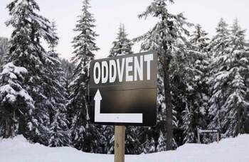TheStage's tweet photo. A digital advent calendar has been created to offer a different theatre experience to audiences every day leading up to Christmas. Called Oddvent, it has been launched by @gemmabrockis and is described as a “cabaret spread over 24 days” https://t.co/ka5dRcuUQ3 https://t.co/wpykOrYFkG