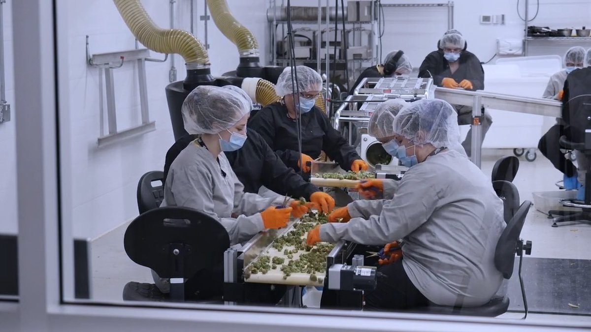 ¿Que vemos hoy?

En esta jornada del FICC tenemos CINE AL AIRE LIBRE!. Vamos a estar exhibiendo dos films relacionados con el cultivo , uno de ellos ESTRENO Latinoamericano y unos shots de animación. Con la presencia de Fernando Saicha, director de Misia Jalaná.