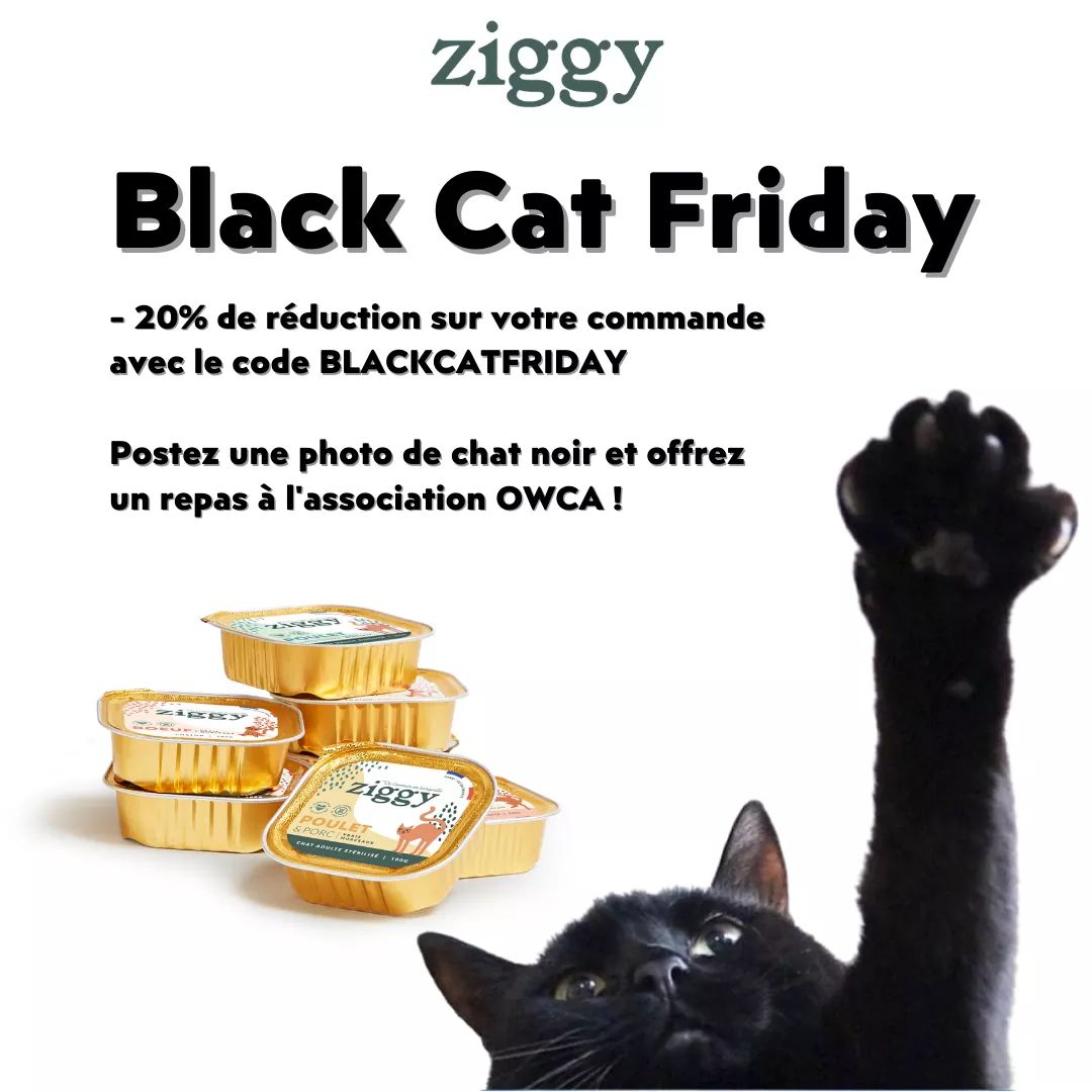 Asena | 🌺 tweet media