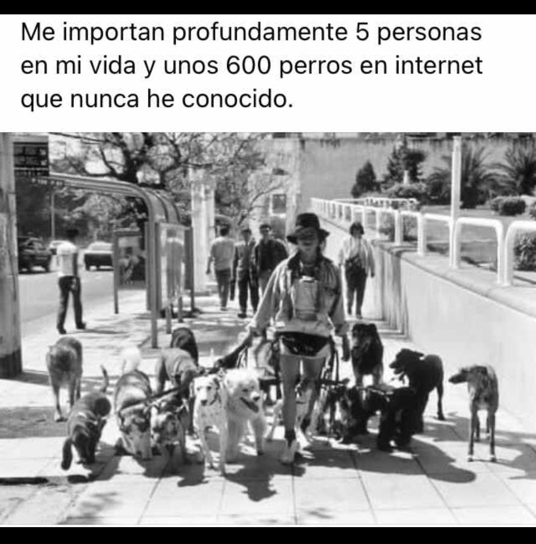 el_protectora's tweet photo. 🤔🤔🤔🤔 https://t.co/H2dIscC2uK