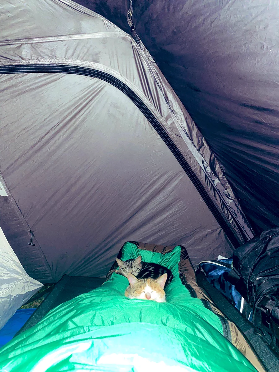 夜中にキャンプ場のテントの中で起きてしまい…。カメラで撮ったらこれが写ってた！