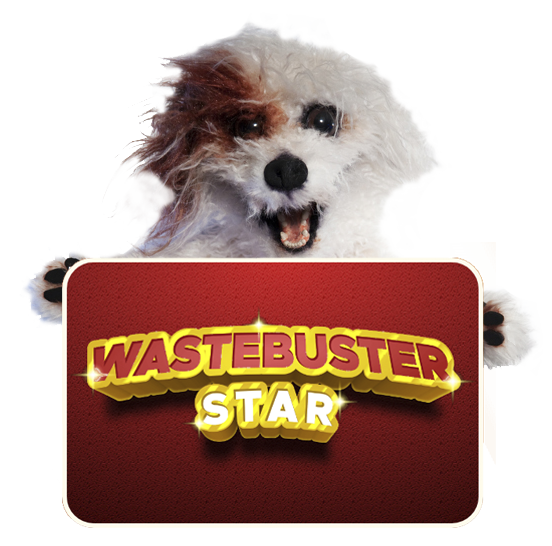 Teachers, join Patch and Mia in our fantastic interactive quiz and find out if you have any recycling stars! youtu.be/TBPCsJlvVPo @wsrecycles   #recycling  #greenchristmas #makememoriesnotwaste