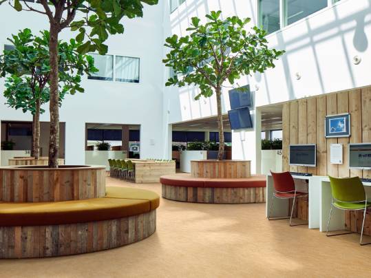 What does Biophilic design mean? And what does it do when applied to a healthcare setting. Read it here:
https://t.co/T359ElPXoz https://t.co/1FG81mg7lf