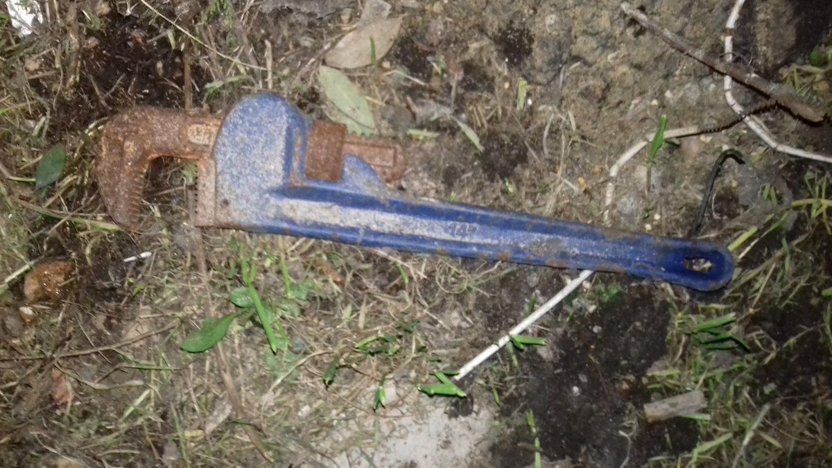 Weapon sweep The Glen open space in Rainham found this item near some bushes. 7101EA
#@localcrime beats
#@essexcrime