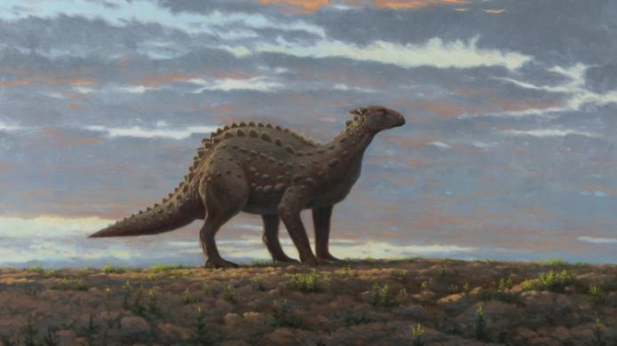 kmarshdavis's tweet photo. Dinosaur bones have been found in Ireland for the first time! Not only that, the two specimens are from TWO different dinosaurs #EBE2020 #dinosaurs #paleontology https://t.co/sLtCRUfOo9