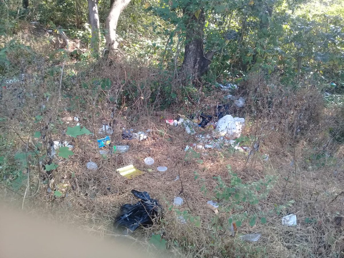 GPNewsMedia24's tweet image. #GarbageCampaign
Thanks to Jitendra Sanzgiri for This Photos of Garbage Zone Near Highland Villa, Torda 
Be a #CitizenJournalist !
Let Everyone Know the Government's Incapability to Manage State's Garbage.
Who Knows Your one Click can Clear the Mess!

  #GPNews #Goa
