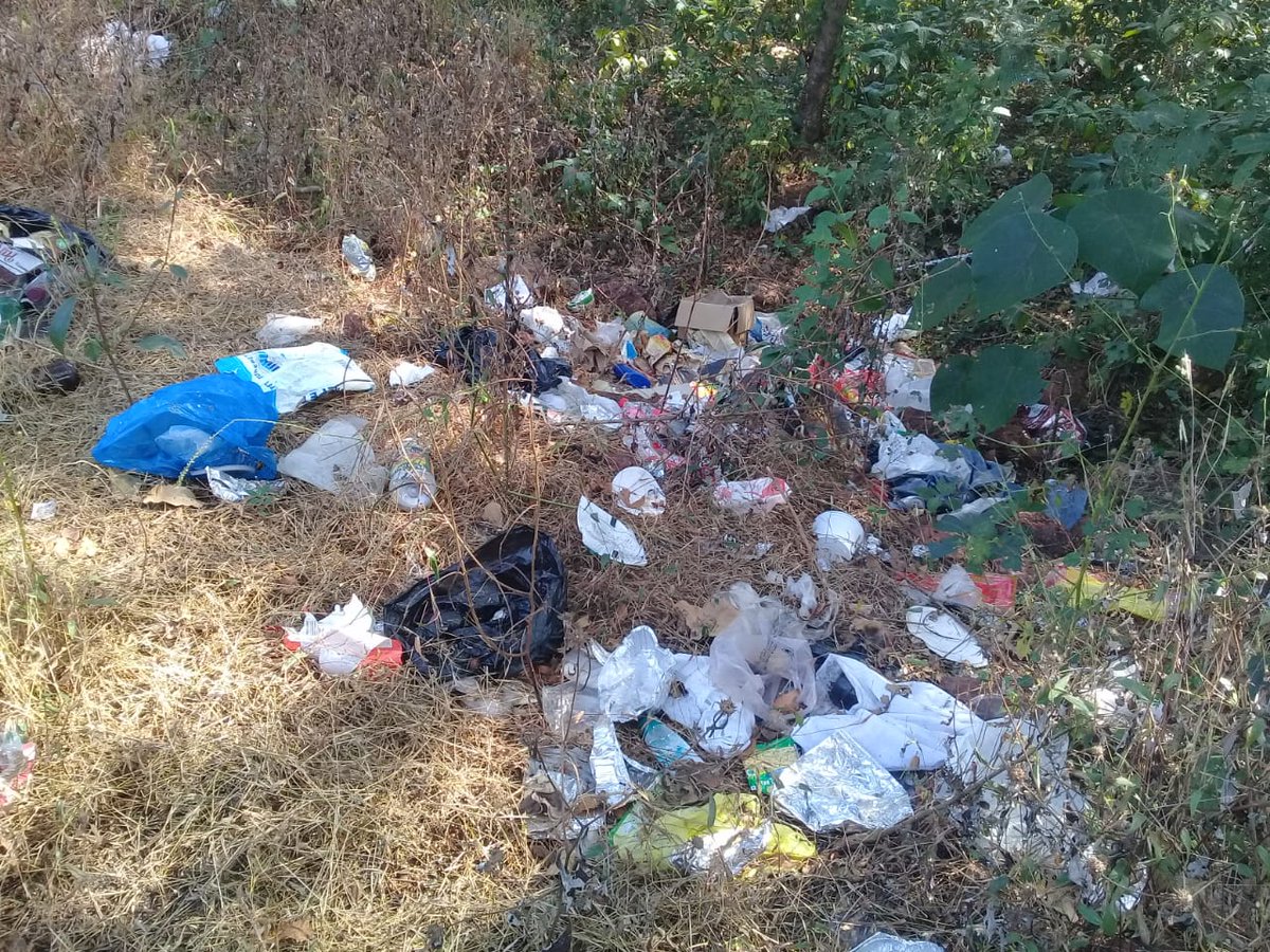 GPNewsMedia24's tweet image. #GarbageCampaign
Thanks to Jitendra Sanzgiri for This Photos of Garbage Zone Near Highland Villa, Torda 
Be a #CitizenJournalist !
Let Everyone Know the Government's Incapability to Manage State's Garbage.
Who Knows Your one Click can Clear the Mess!

  #GPNews #Goa