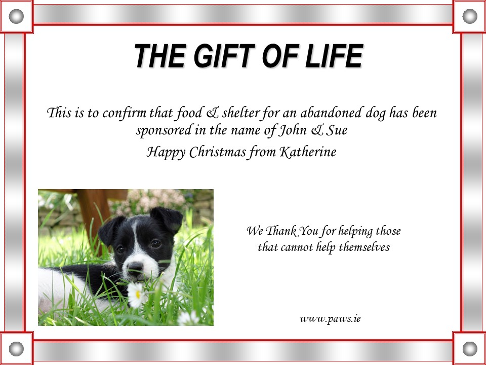 dog rescue tipperary