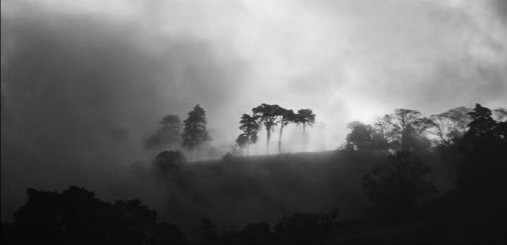 EnriqueOrihuel's tweet photo. Un comentario sobre la evolución de la pandemia en mi blog. "Vivimos en una tierra de sombras donde el sol siempre brilla en otro lugar..." C.S. Lewis https://t.co/JdLI8oFk5t https://t.co/g6yoaSs33l
