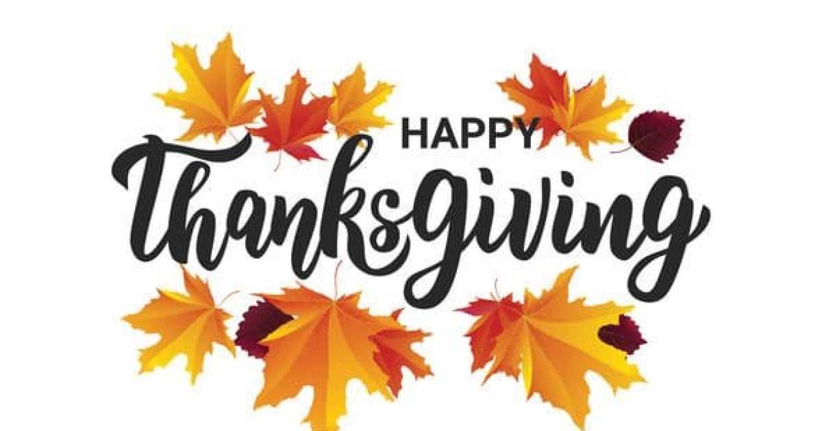 🦃🦃🦃🦃
