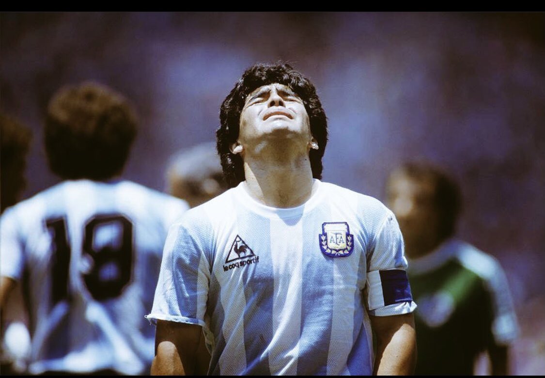 Corteo19 tweet media