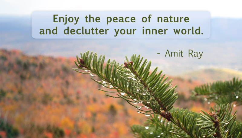 Crimson_Designs's tweet photo. Enjoy the peace of nature and declutter your inner world. ~ Amit Ray 

#quote #OptOutside #nature #peace https://t.co/fW4VS18vIE