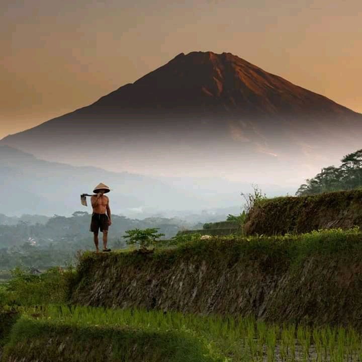 Muhamma24578969's tweet photo. #FotoProfilBaru https://t.co/zUsiOkrr8b